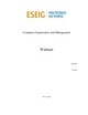 Walmart Company organization and management analysis