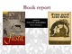 The sun also rises book report
