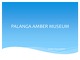 Palanga amber museum presentation 