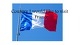 Country I would like to visit - France 