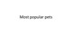 Most popular pets
