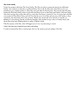 The Great Gatsby, essay