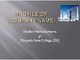 Profile of company 