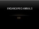 Endangered animals
