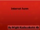Skaidrės apie internetą anglų kalba