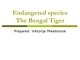 Endangered species The Bengal Tiger