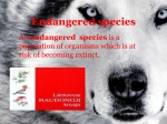 Endangered species anglų skaidrės apie nykstančias rūšis 2