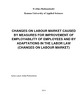 Changes on labour market caused by measures for improvement of employability of employees and by adaptations in the labor law (changes on labour market)