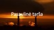 Pasaulinė tarša