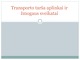 Transporto tarša aplinkai ir žmogaus sveikatai