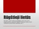 Rūgštieji lietūs projektas (2)