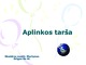 Aplinkos tarša pristatymas (2)