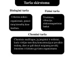 Aplinkos tarša pristatymas (2) 3