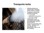 Transporto tarša projektas 1