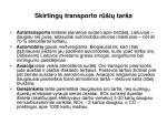 Transporto tarša projektas 2