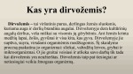 Žmogaus veiklos poveikis dirvožemiui skaidrės 3