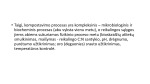 Kompostavimo mišiniai 3