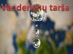 Vandenynų tarša