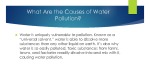Water pollution project 3