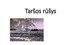 Taršos rūšys skaidrės