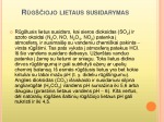 Rūgštieji lietūs projektas 3