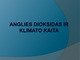 Skaidrės apie anglies dioksidą ir klimato kaitą