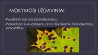 Aplinkos tarša: Bioindikatoriai 2