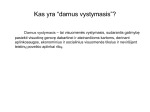 Darnaus vystimosi principų integravimas į transportą skaidrės 2