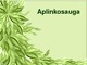 Aplinkosauga skaidrės
