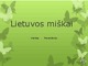 Lietuvos miškai skaidrės