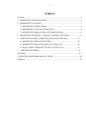 AB ,,Žemaitijos pienas'' veikla ir jos efektyvumas 2