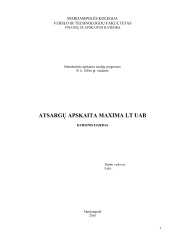 Atsargų apskaita Maxima 1