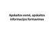 Apskaitos esmė, apskaitos informacijos formavimas