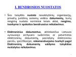 Nevalstybinių organizacijų ir privačių juridinių asmenų dokumentų rengimo, tvarkymo ir apskaitos taisyklės 3