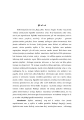 Ilgalaikio turto apskaita ir analizė 3