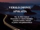 Verslo įmonių apskaita skaidrės