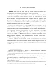 Japonijos apskaitos sistema 2