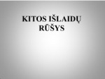 Kitos išlaidų rūšys 1