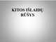 Kitos išlaidų rūšys