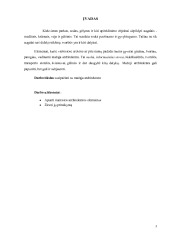 Mažoji architektūra referatas 2