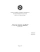 Vievio miesto architektūros analizė