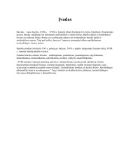 Barokas referatas 2