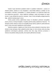 Stogų apželdinimas 3