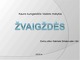Žvaigždės projektas