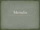 Mėnulis projektas (3)