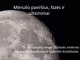 Mėnulio paviršius, fazės ir užtemimai