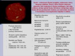 Planetos, jų sandara ir palydovai 2