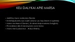 Marso atmosfera ir paviršius 2
