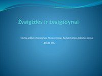 Skaidrės apie žvaigždes ir žvaigždynus 1