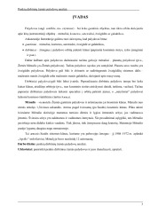 Dirbtiniai palydovai 2